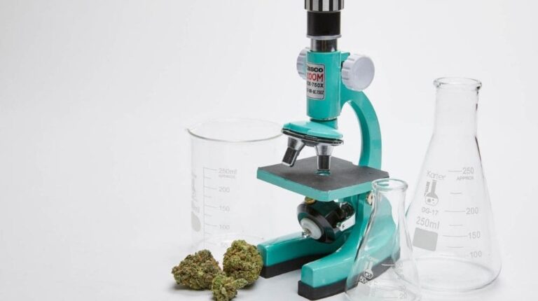 顕微鏡と大麻（麻）