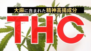 THC（テトラヒドロカンナビノール）とは何？