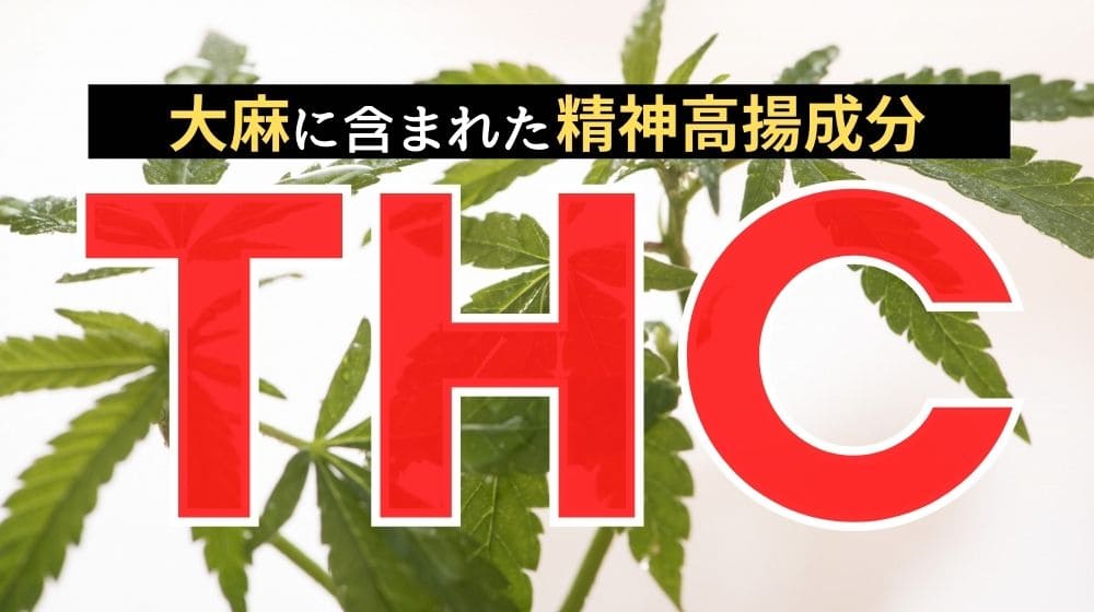 【丸ごと解説】THC（テトラヒドロカンナビノール）とは？