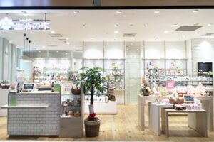 生活の木 柏高島屋店