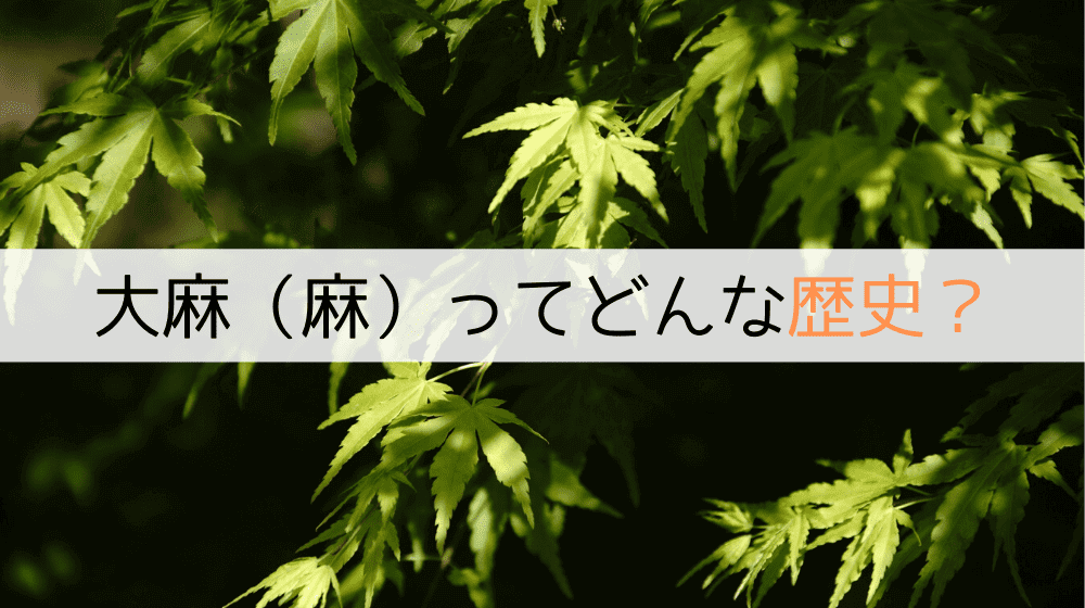 【丸ごと解説】大麻（麻）の歴史