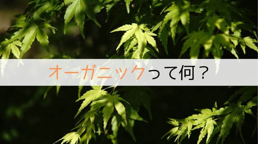 【丸ごと解説】オーガニック(有機栽培)のCBDオイル