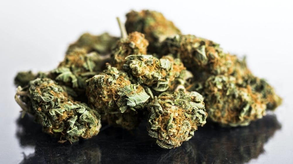 大麻（麻）のTHCとCBD量をわかりやすく示す方法