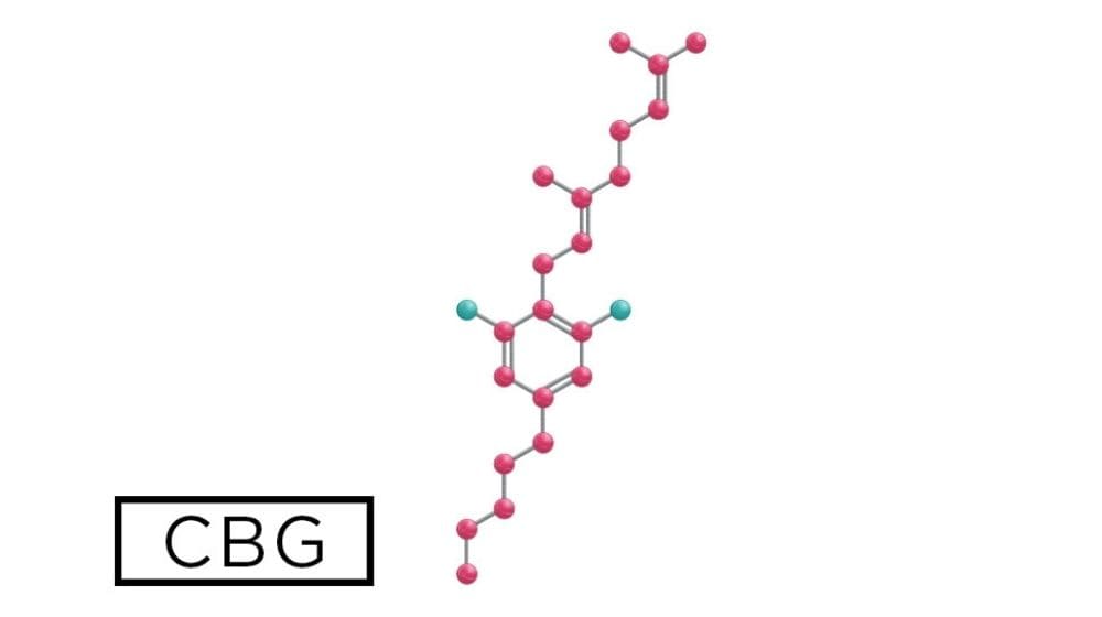 CBG（カンナビゲロール）の分子模型