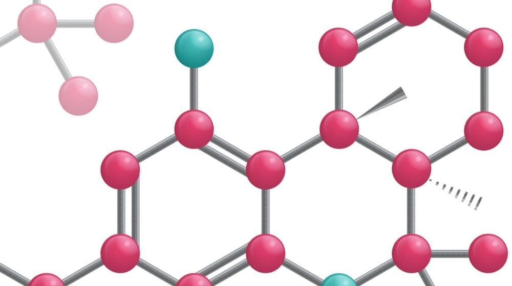 【丸ごと解説】THCA（テトラヒドロカンナビノール酸）とは？