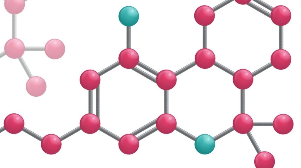 【丸ごと解説】Δ8-THC(デルタ8テトラヒドロカンナビノール)とは?
