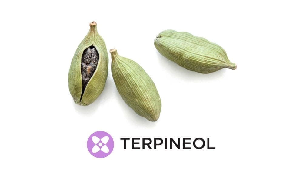 「テルピネオール」が含有された果物