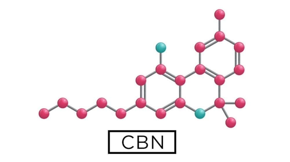 CBN（カンナビノール）の分子模型