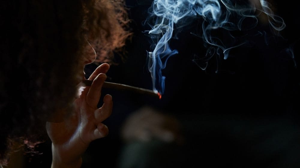 【丸ごと解説】大麻(麻)商品