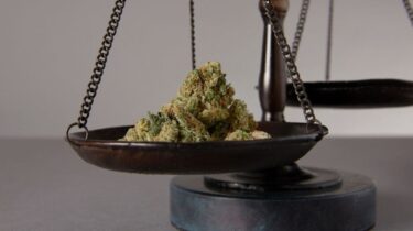 大麻（麻）における社会的公正とは何？なぜそれが重要なの？