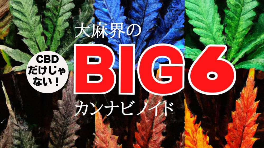 BIG6カンナビノイドのすべて！効果・副作用・違法性を総まとめ