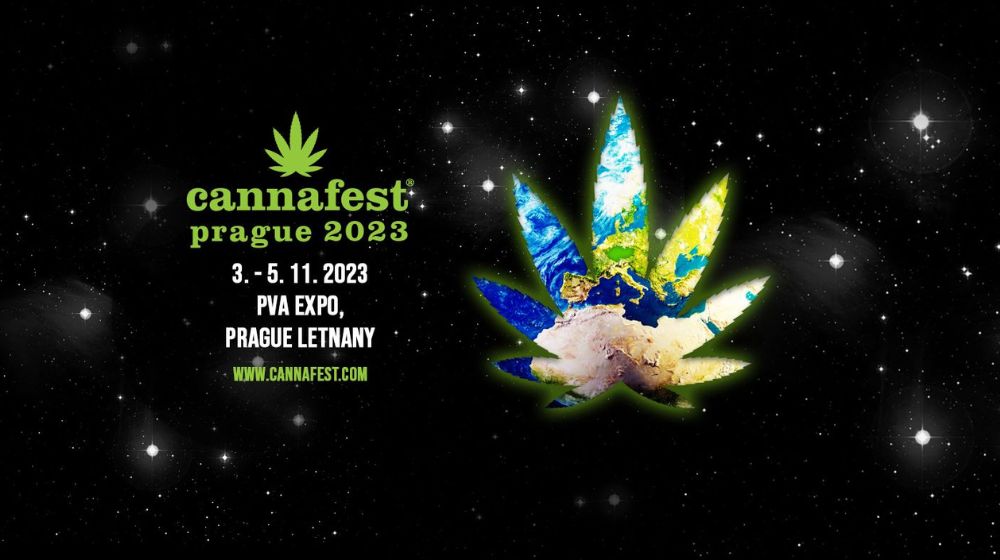 【体験記】世界最大級の大麻（麻）エキスポ『カンナフェス2023』