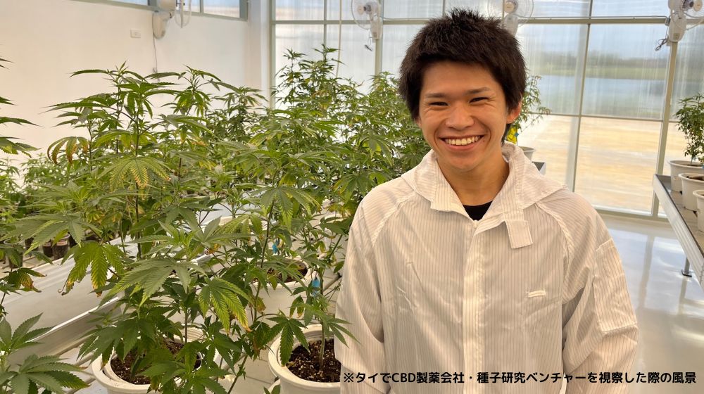 ［CBDビジネスでハイになれ！］ゼミ追放の怒りから生まれたCBD・大麻ビジネスメディア編集長インタビュー