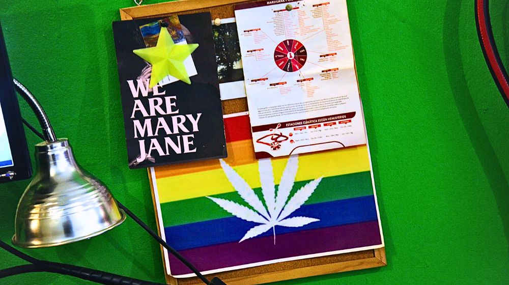 大麻クラブ？欧州で広がる「カンナビス・ソーシャル・クラブ」とは？