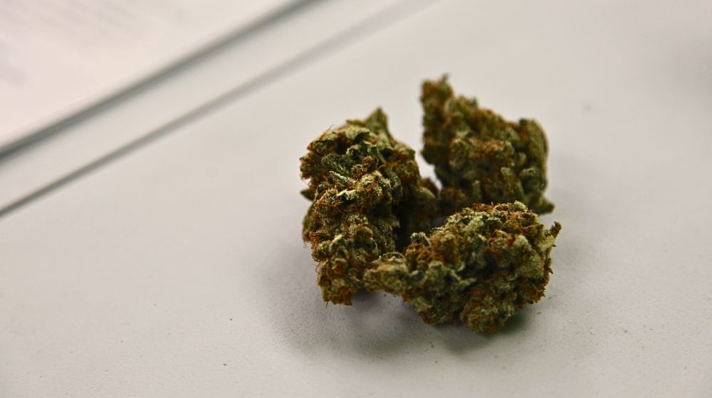 大麻