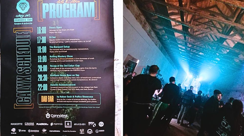 『カンナビスカップ』の会場