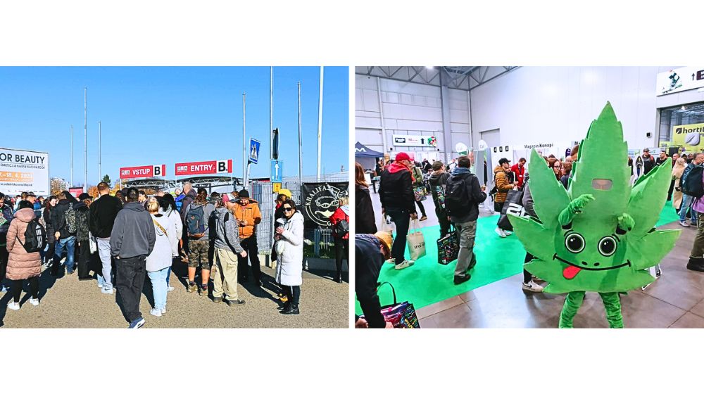 『CANNAFEST2025』の会場