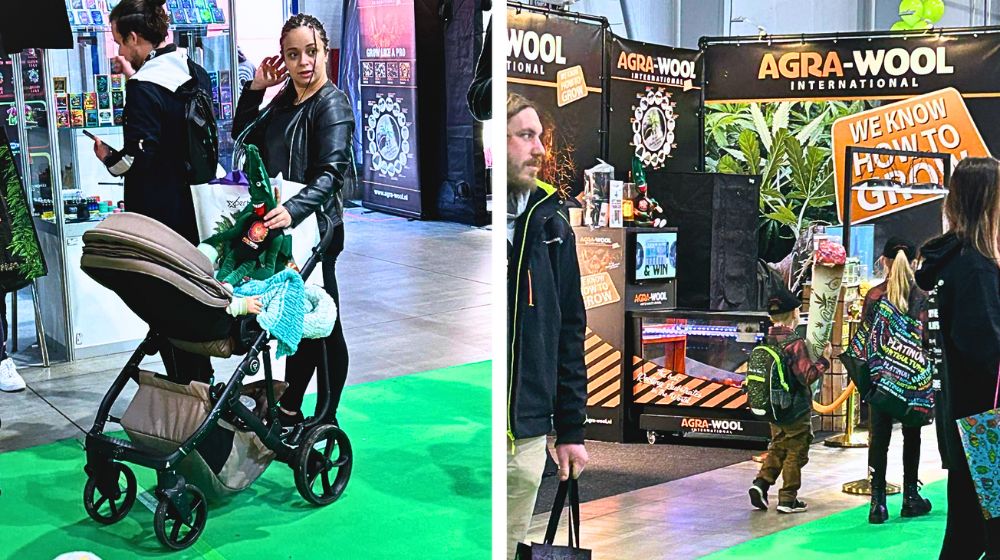 『CANNAFEST2025』の会場