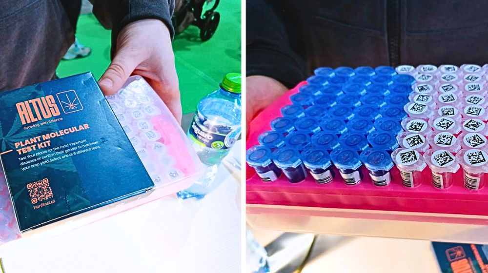 『CANNAFEST2025』の会場