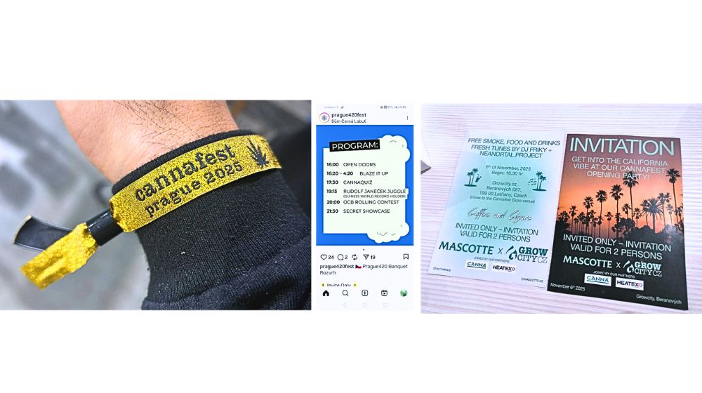 『CANNAFEST2025』の販促物