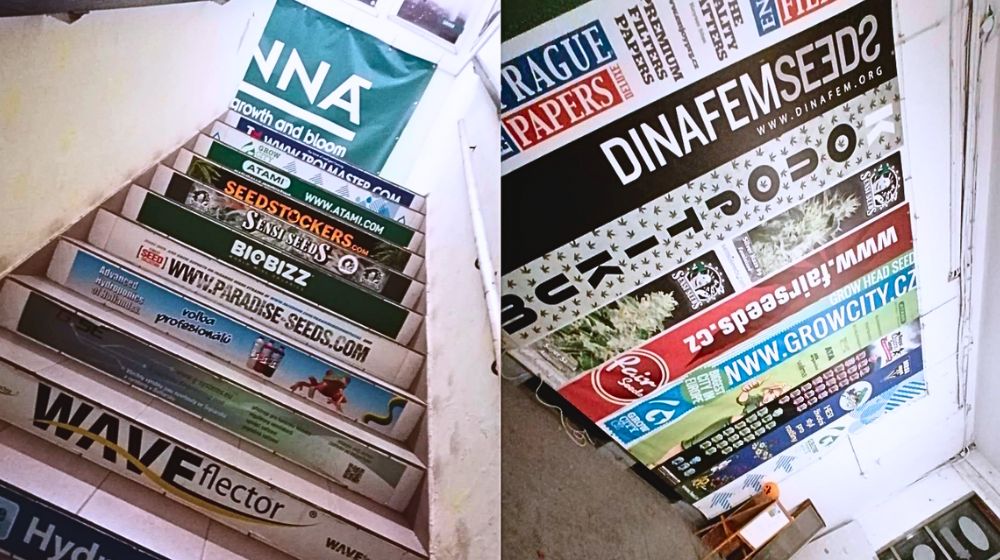 『CANNAFEST2025』の会場