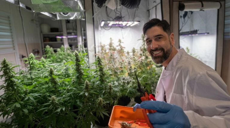 【潜入取材】大麻の自家栽培とカンナビノイド検査の実際｜植物科学者の個人ラボで見た「知る」ことの真価