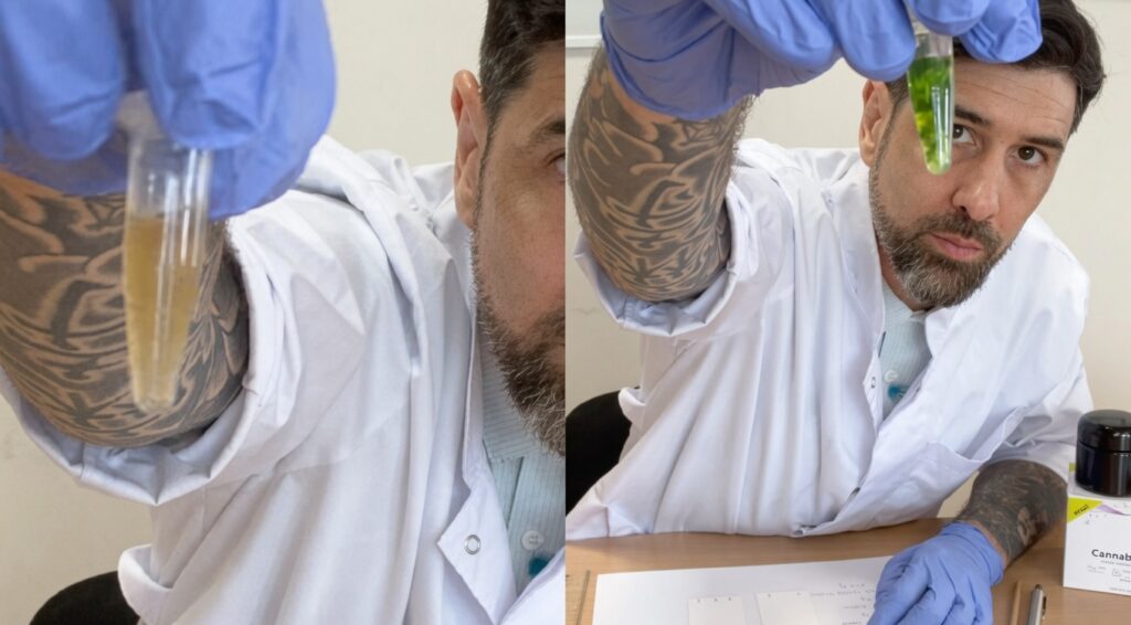 白衣を着た髭の男性が青い手袋をはめて、左パネルでは黄色い液体が入った試験管を、右パネルでは緑色の液体が入った試験管を掲げて見せている2分割の研究写真